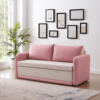 Berry sofa cum bed with storage styled in a modern living room