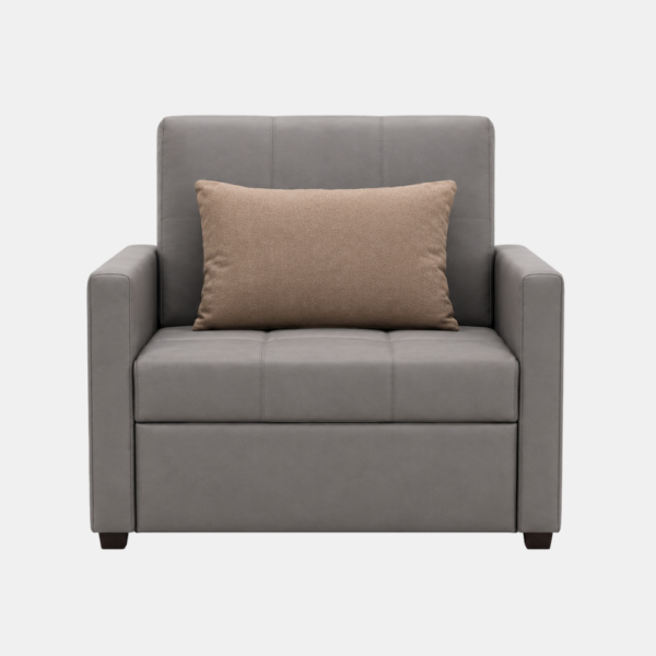 Glen grey sofa cum bed with storage, front view